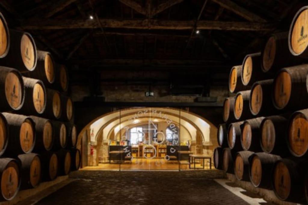 Loft In The Historic Center Of Oporto Downtown Porto Exterior foto